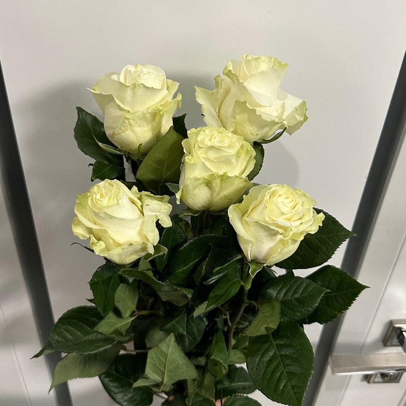 Букет Мондіаль 70 см (ТС0263) — КВІТКОВИЙ ЛАН