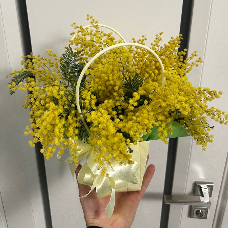 Букет Мімоза в сумочці (К0094) — КВІТКОВИЙ ЛАН